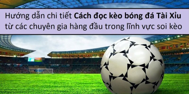 Cách chơi Tài Xỉu trong bóng đá cho người mới bắt đầu