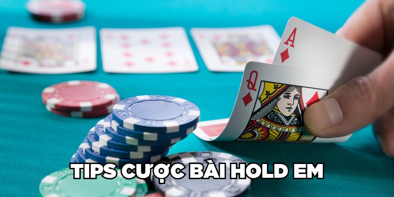 Tips cược bài Hold em